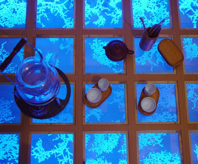 Coffee Table Nature